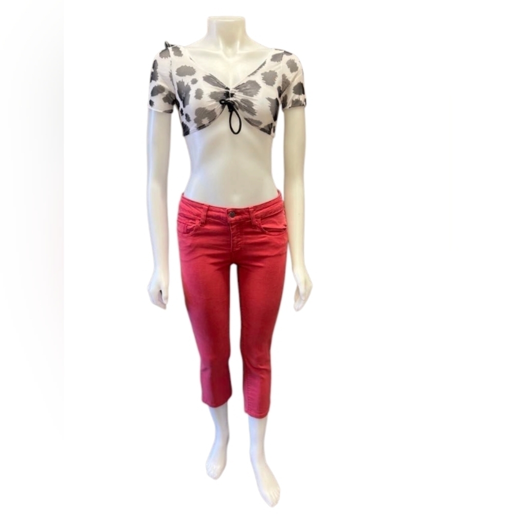 Pilcro and the letterpress Anthropologie Coral Skinny Jean Size 26 EUC - Picture 2 of 11